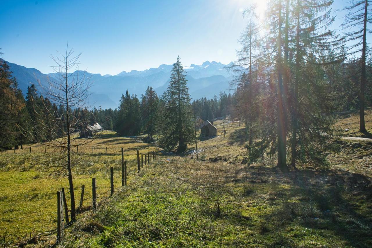 Ferienwohnung Stoablick - Barrierefrei Mit Bergblick Bad Goisern Zewnętrze zdjęcie